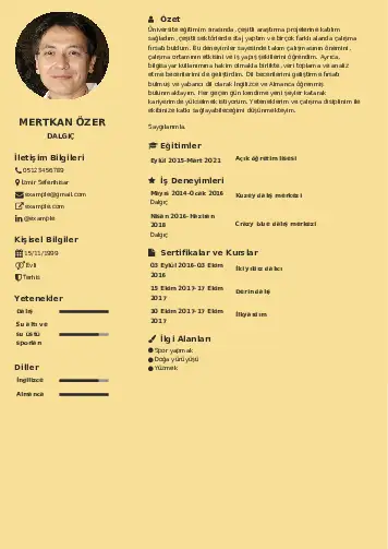 Dalgıç CV Örnekleri cv indir